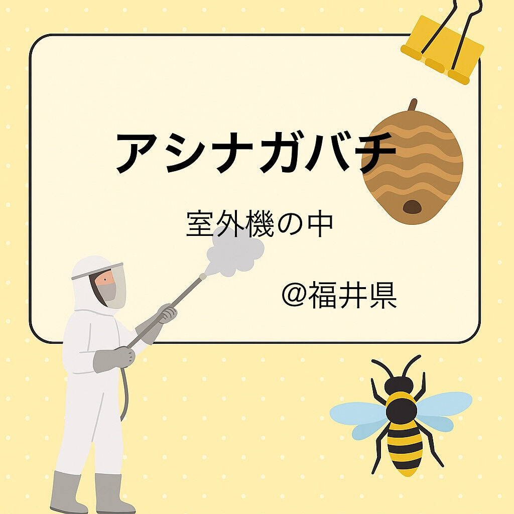 ９月末まで福井県にも出張🐝