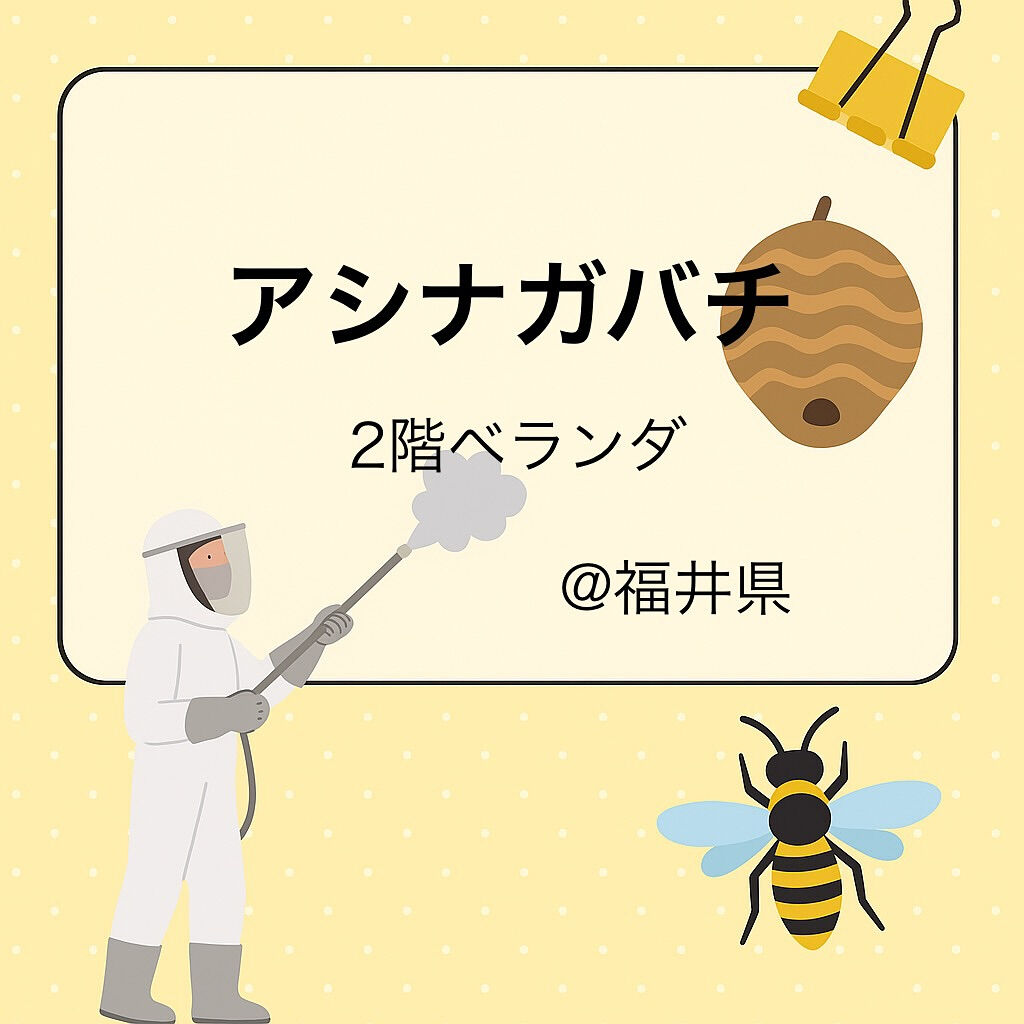 ９月末まで福井県にも出張中🐝