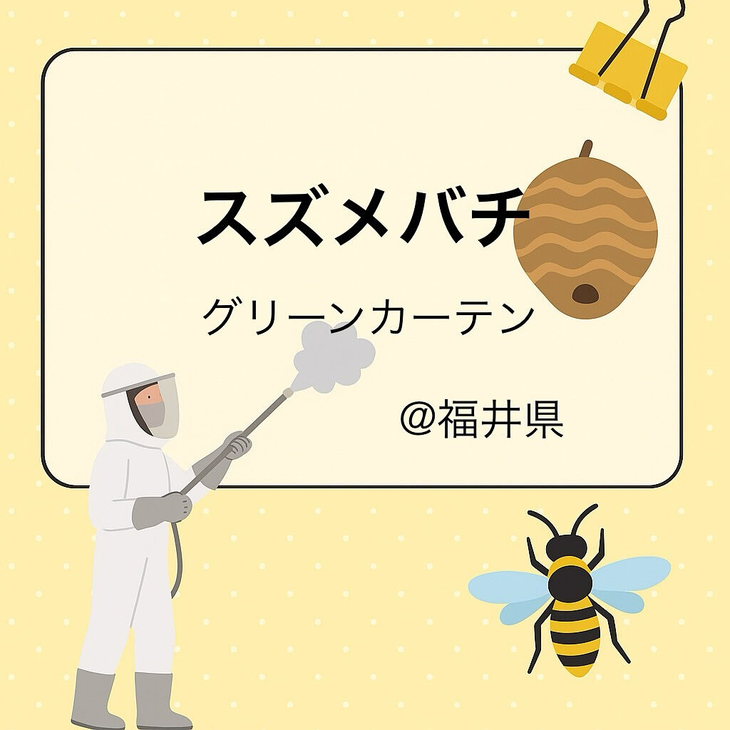 9月末まで福井県にも出張中🐝