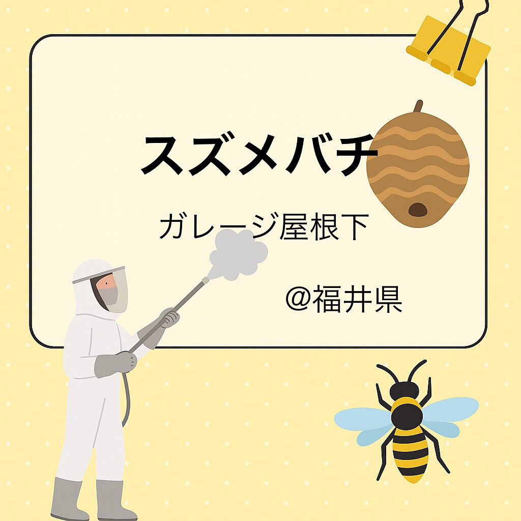 9月末まで福井県にも出張中🐝