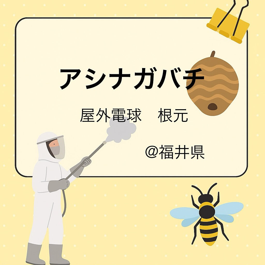 9月末まで福井県にも出張中🐝