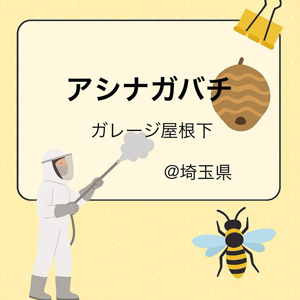 関東圏もたくさん蜂駆除のご依頼ありがとうございます🐝