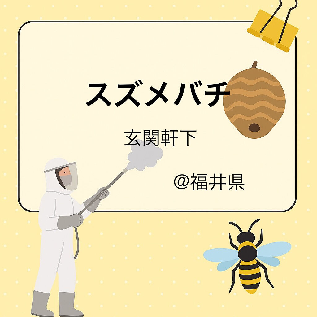 ９月末まで福井県にも蜂駆除出張中🐝