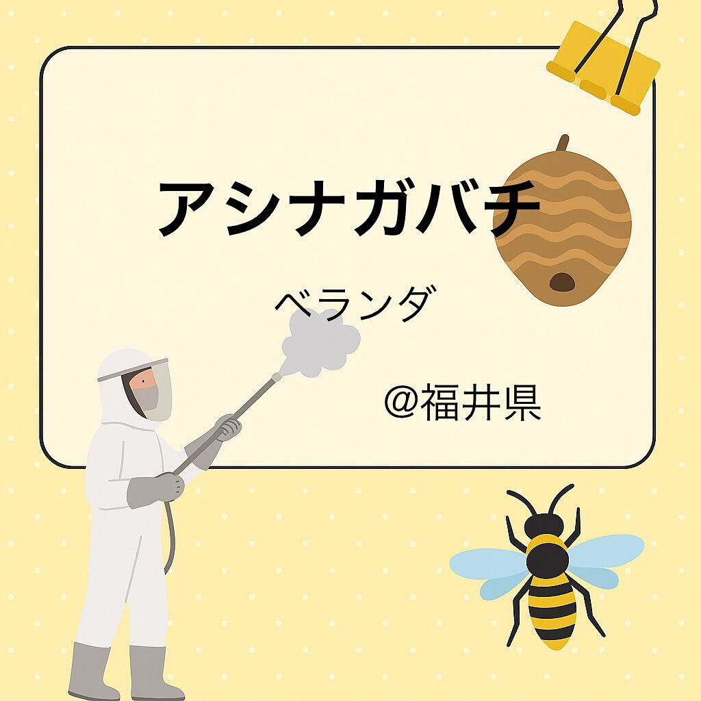 ９月末まで福井県にも蜂駆除出張中🐝