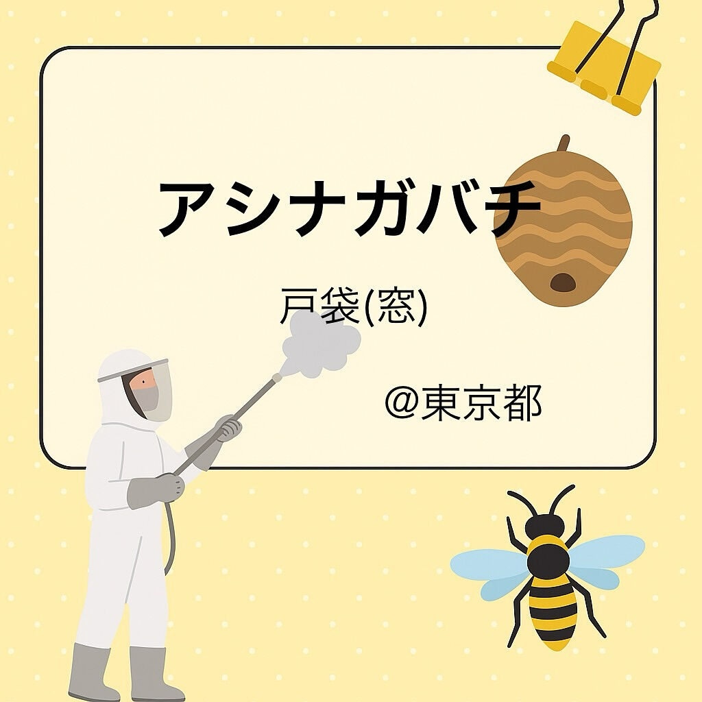 関東圏でもバリバリ蜂駆除中🐝