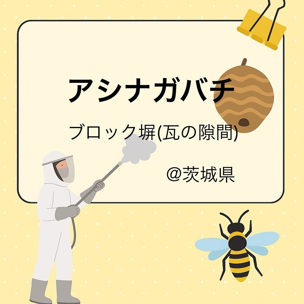 一軒家 : ブロック塀(瓦のスキマ)アシナガバチ巣駆除🐝@茨
