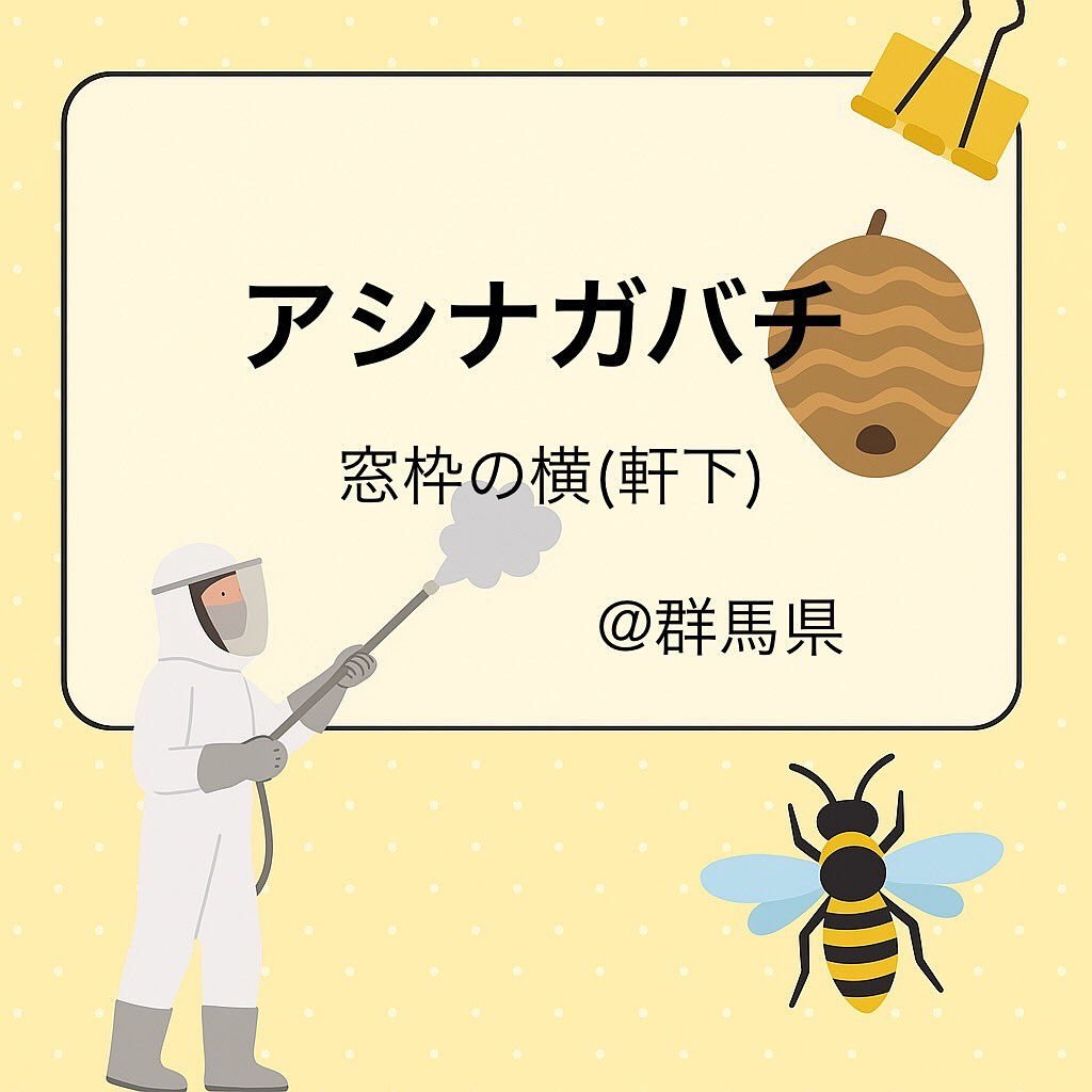 一軒家 : 窓枠の横(軒下)アシナガバチの巣駆除🐝