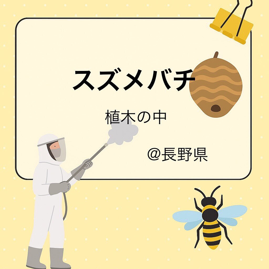 一軒家 : 植木の中のスズメバチの巣駆除🐝@長野県