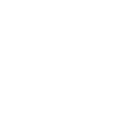 アリのイラスト1